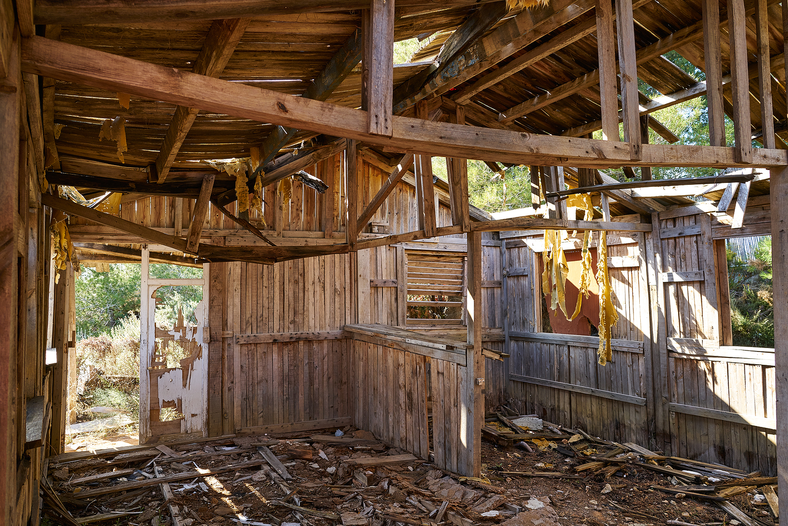 FIRE RESTORATION